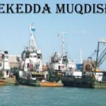 Dekedda Muqdisho oo wajaheysa caqabado dhanka maamulka iyo amniga ah ka dib khilaaf cusub oo soo shaac baxay