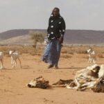 Abaaraha Dalka ka jira oo Halis gelinaya nolosha malaayiin qof iyo Siyaasad Ku Mashquulid Hoggaamiyaasha