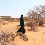 Qaramada Midoobay oo ka digtay khatarta cunno-yarida ee ka dhalan karta El Nino