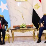 Madaxweyne Xasan Sheekh oo kulan doceed la qaatay Madaxweynaha Masar